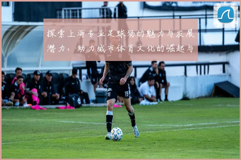 探索上海专业足球场的魅力与发展潜力，助力城市体育文化的崛起与繁荣