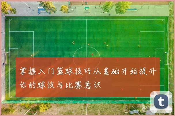 掌握入门篮球技巧从基础开始提升你的球技与比赛意识