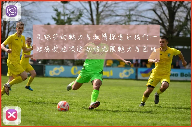 足球芒的魅力与激情探索让我们一起感受这项运动的无限魅力与团结精神